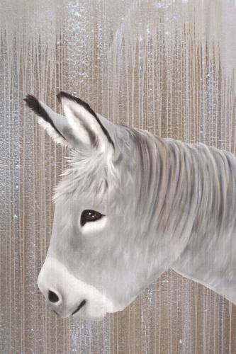  petit âne gris Thierry Bisch artiste peintre contemporain animaux tableau art décoration biodiversité conservation 